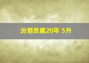 汾酒贡藏20年 5升